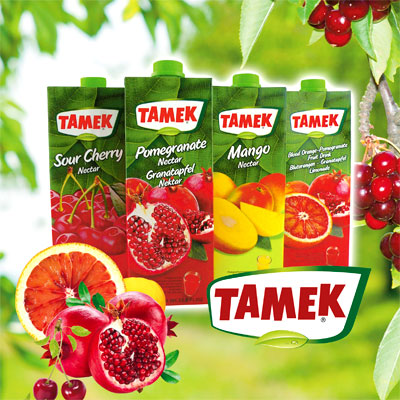 Tamek, Ortadoğu ihracatında vites yükseltiyor