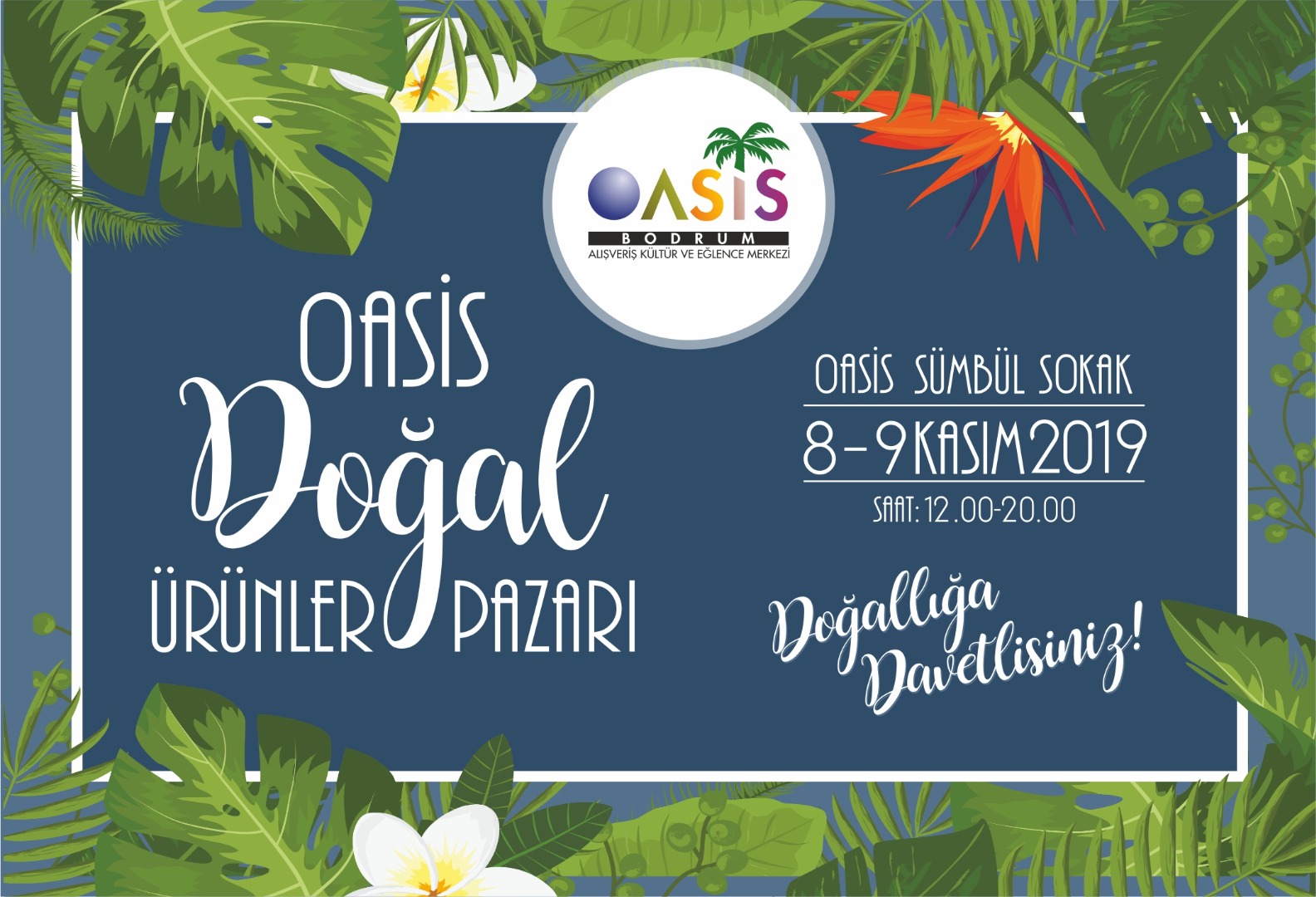 Doğal ürünler pazarı Oasis'te