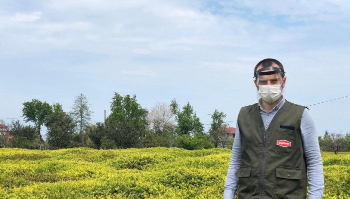 Lipton sağlıklı ve güvenli çay hasadına bayram sonrası başlıyor