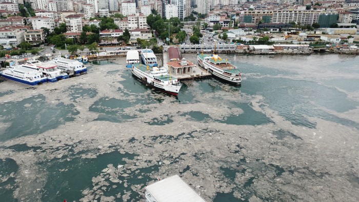 Deniz salyasından etkilenen balıkçılara yapılan nakdi destek iki katına çıkarıldı