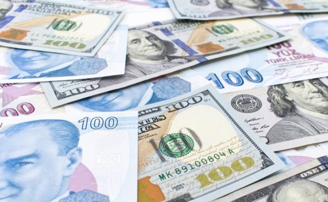 Özel sektörün yurt dışı kredi borcu 173,3 milyar dolar