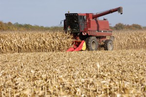 Tarımsal girdi fiyat endeksi yıllık yüzde 36,20 ile rekor tazeledi