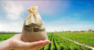 Bakan Kirişci : Tarımsal destek ödemeleri hesaplara yatıyor