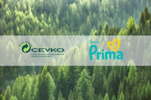 Prima’nın Hatıra Ormanı’nda 10 bin fidan büyüyecek